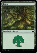Forest (0378)