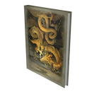 DND RPG 2024 PLAYER'S HANDBOOK ALT COVER